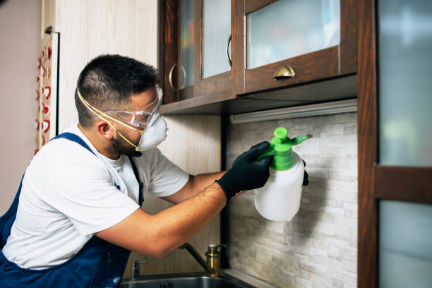 Best Best Pest Control Companies  in Oakley, KS