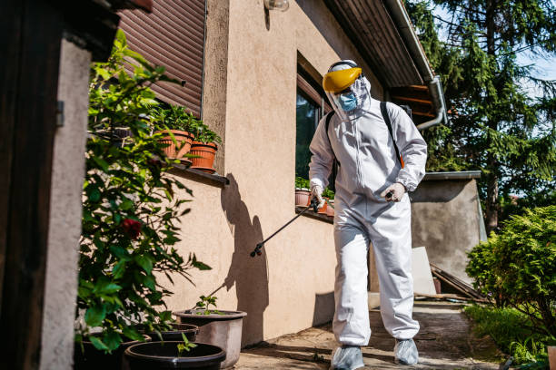 Best Rat Extermination Near Me  in Oakley, KS
