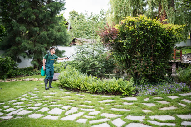 Wasp Removal Services in Oakley, KS
