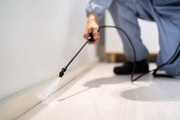 Best Pest Removal Services  in Oakley, KS