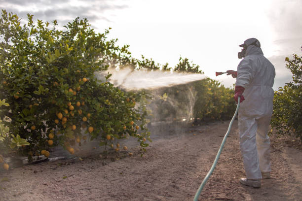 Oakley, KS Pest Control Company