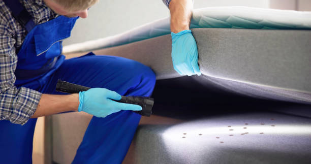 Best Mosquito Control Services  in Oakley, KS