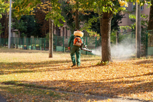 Best Exterminator Services  in Oakley, KS