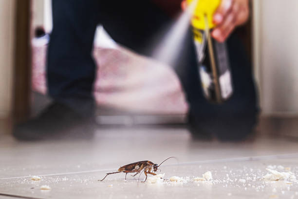 Best Pest Control Near Me  in Oakley, KS