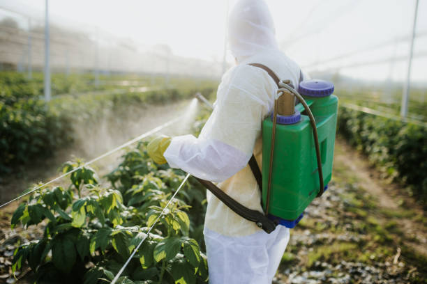 Best Pest Prevention Services  in Oakley, KS